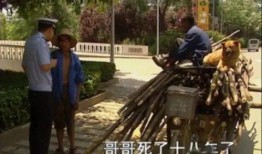 吉林爆料马路大爷视频,街头智慧引网友热议